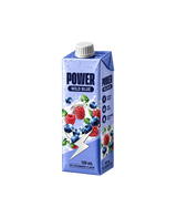 Power Wild Blue Energy Drink – Tetra Pack